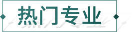 热门专业